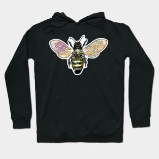 Dark Bee Hoodie